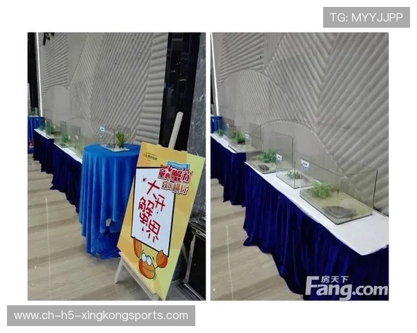 决赛门票一售而空，城市陷入狂欢氛围，决赛流程